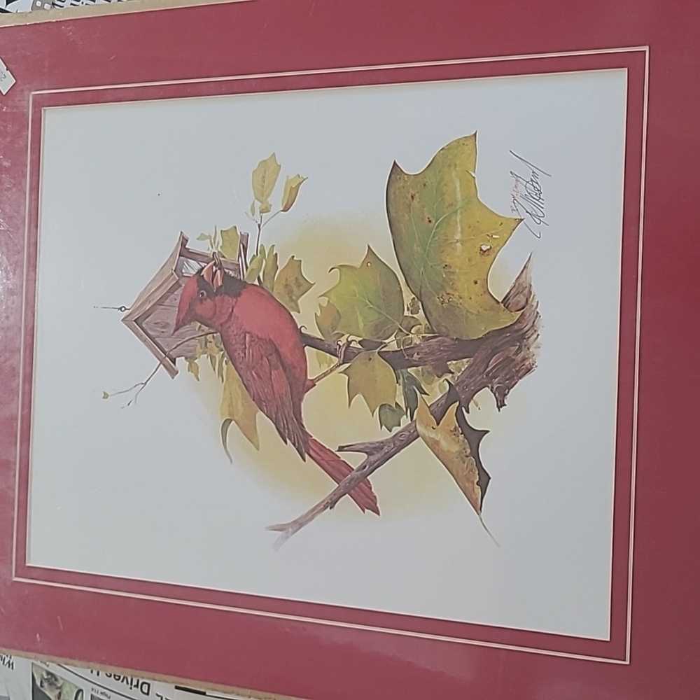 NEW Ralph McDonald Cardinal Print